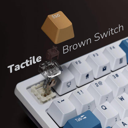 RK98 Wireless Mechanical Keyboard, Tri-Mode 2.4G/BT5.1/USB-C Hot Swappable Full Size Keyboard, RGB Backlit Gaming Keyboard, Massive Battery Software Support, Brown Switch